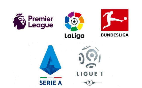 八村塁的坦 八村塁的坦